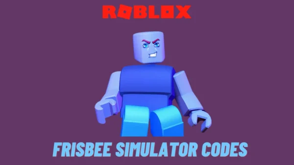 Frisbee Simulator Codes